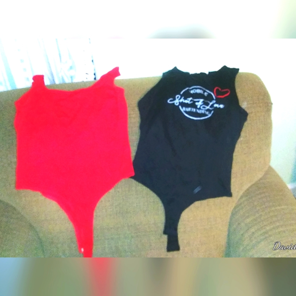 Lot Of 2 Womens. Body Suite Tank Tops And A Pair Of Size 4 Shorts